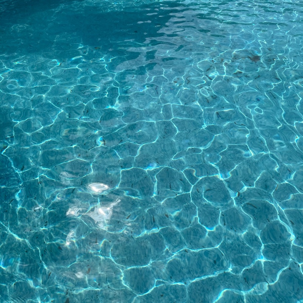 Meet your Posher, Robin